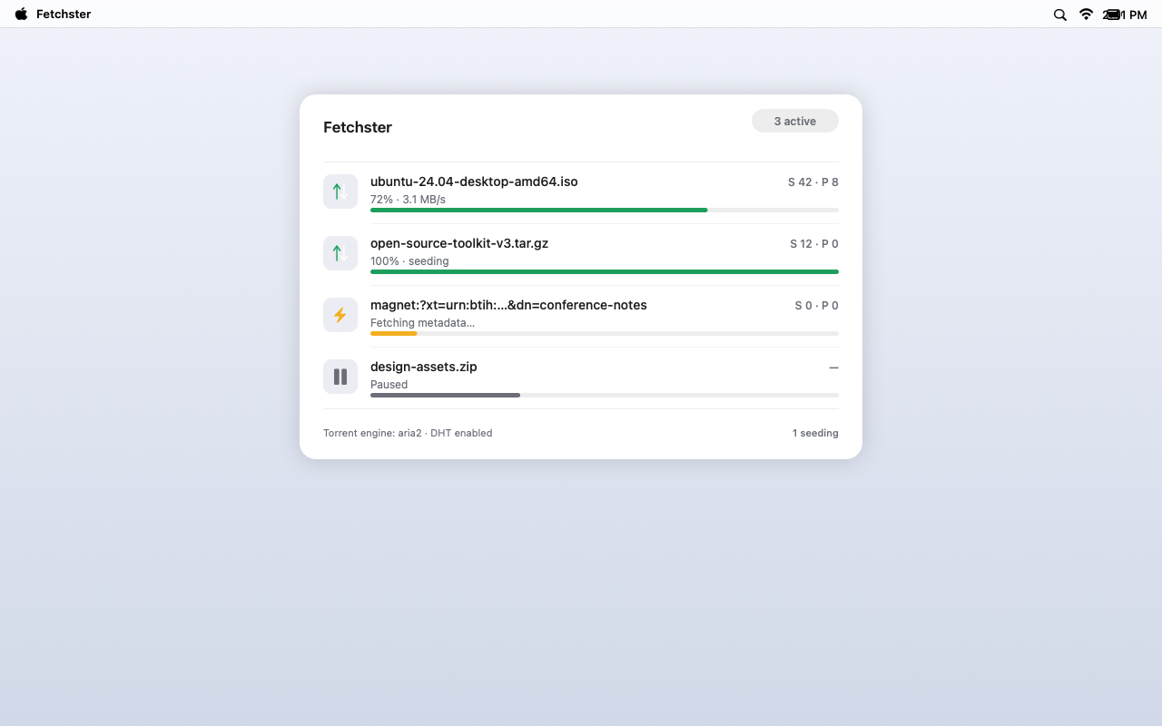 Fetchster torrent downloads with peers and seeding status